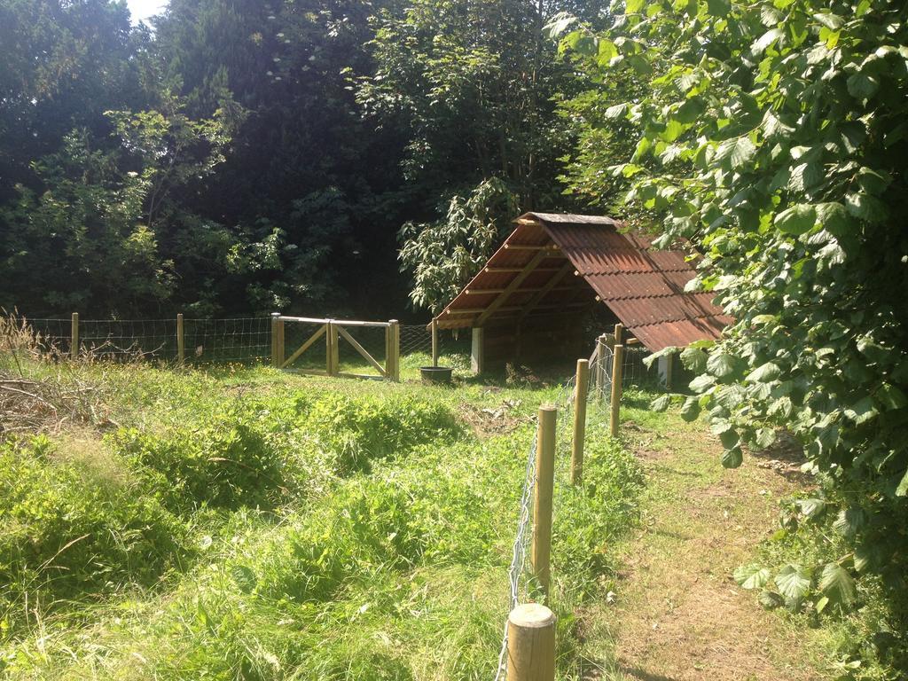 Kildegaarden Bed & Breakfast Frorup Zewnętrze zdjęcie